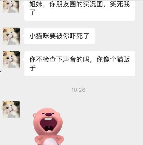 吃瓜聊天记录微信免费看,一键获取私密对话