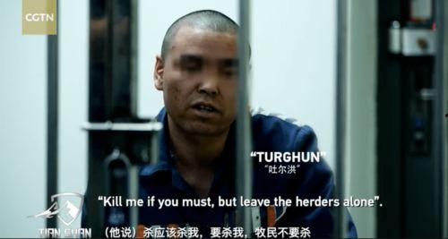 王仪爆料肖恩视频播放在线观看,独家揭秘，在线观看不容错过